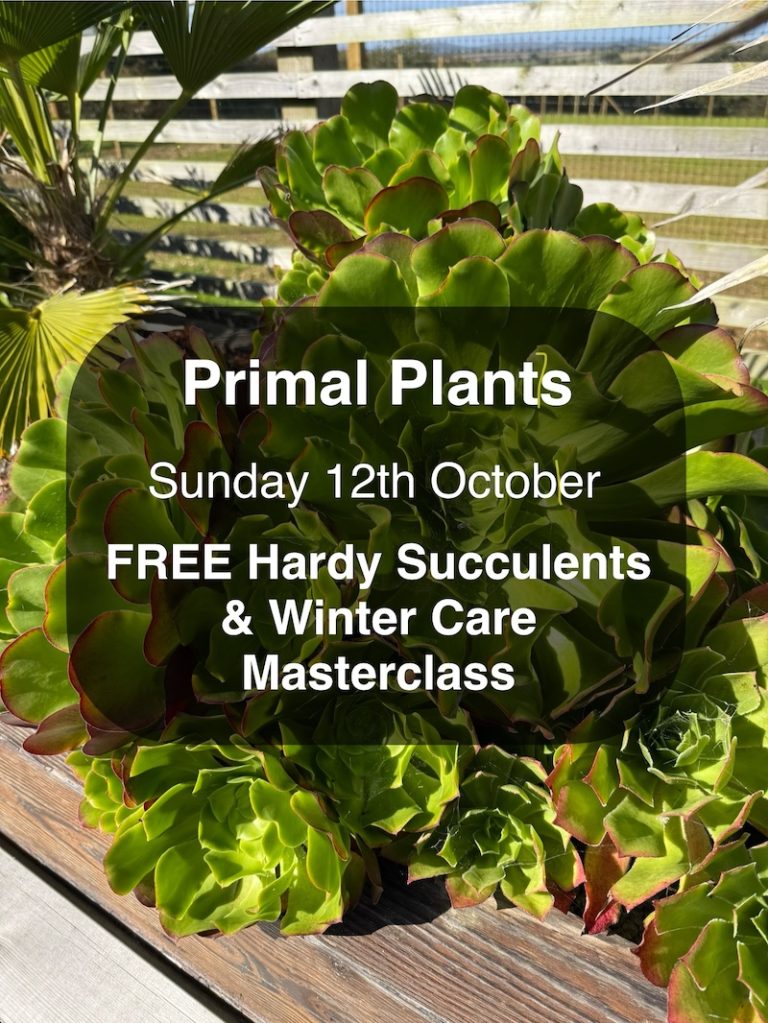Finished Free Hardy Succulents & Winter Care Masterclass